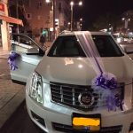 קישוט רכבים